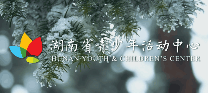 哪里能找到关于智能球衣在篮球训练中应用的信息_2