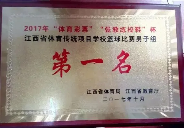 哪里能找到关于智能球衣在篮球训练中应用的信息_0